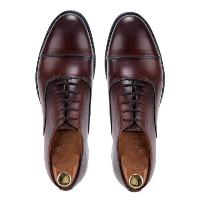 Apollo The Brown Leather Derby